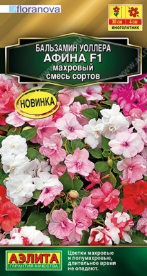 Бальзамин Афина смесь 5шт